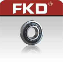 Roller Bearing